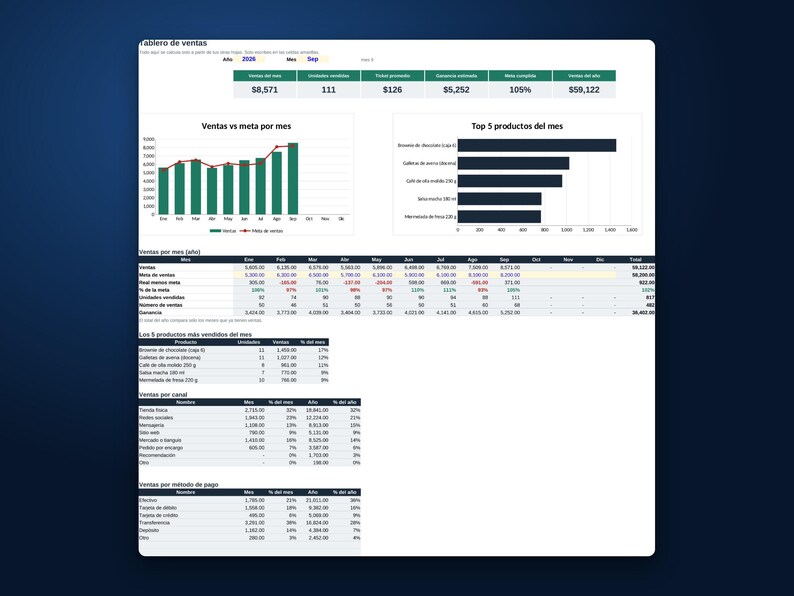 Verkooptracker-spreadsheet, sjabloon voor Excel en Google Sheets, dagelijks verkooplogboek, dashboard voor kleine bedrijven, digitale download afbeelding 2