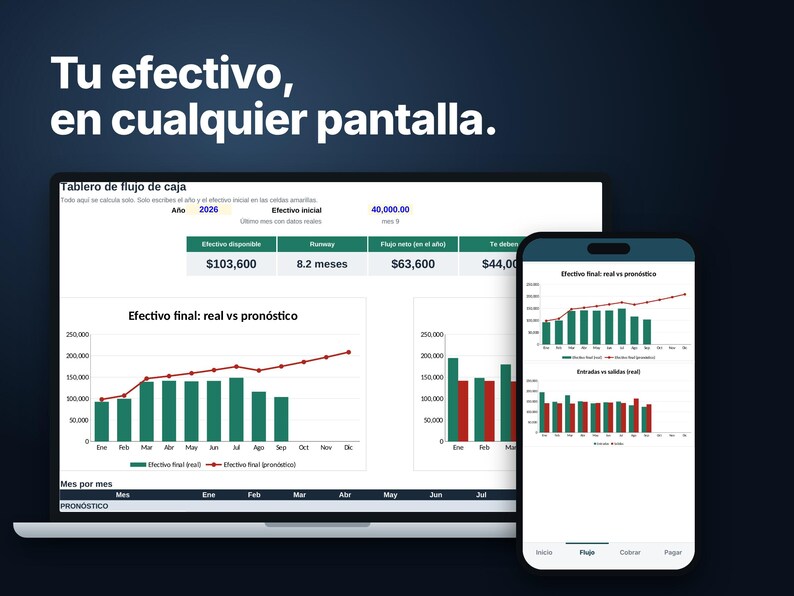 Cash Flow Template for Small Business, Excel and Google Sheets Spreadsheet, 12 Month Forecast vs Actual, Runway, Receivables image 5