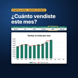 Verkooptracker-spreadsheet, sjabloon voor Excel en Google Sheets, dagelijks verkooplogboek, dashboard voor kleine bedrijven, digitale download afbeelding 1