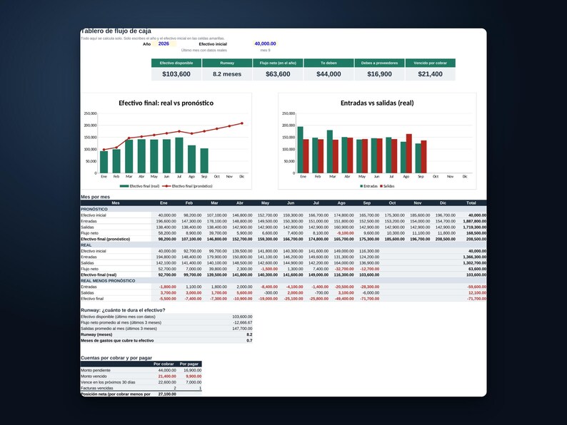 Cash Flow Template for Small Business, Excel and Google Sheets Spreadsheet, 12 Month Forecast vs Actual, Runway, Receivables image 2