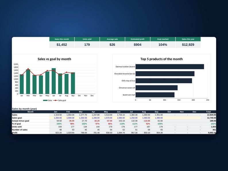 Verkooptracker-spreadsheet, sjabloon voor Excel en Google Sheets, dagelijks verkooplogboek, dashboard voor kleine bedrijven, digitale download afbeelding 4
