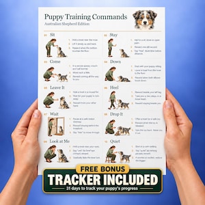 Puede incluir: Un póster informativo blanco titulado Puppy Training Commands Australian Shepherd Edition, que presenta diez pasos ilustrados con instrucciones para comandos como Sit, Stay y Come, además de un banner Free Bonus Tracker Included.