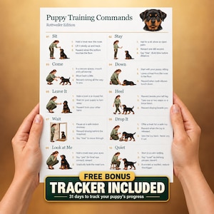 Puede incluir: Un póster instructivo blanco titulado Puppy Training Commands Rottweiler Edition, con diez pasos numerados e ilustraciones de una persona y un cachorro Rottweiler. En la parte inferior hay una franja verde oscuro que dice FREE BONUS TRACKER INCLUDED.