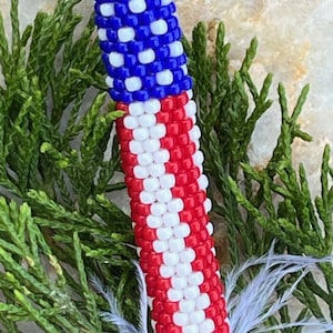 American Flag Regalia Feather Sleeve