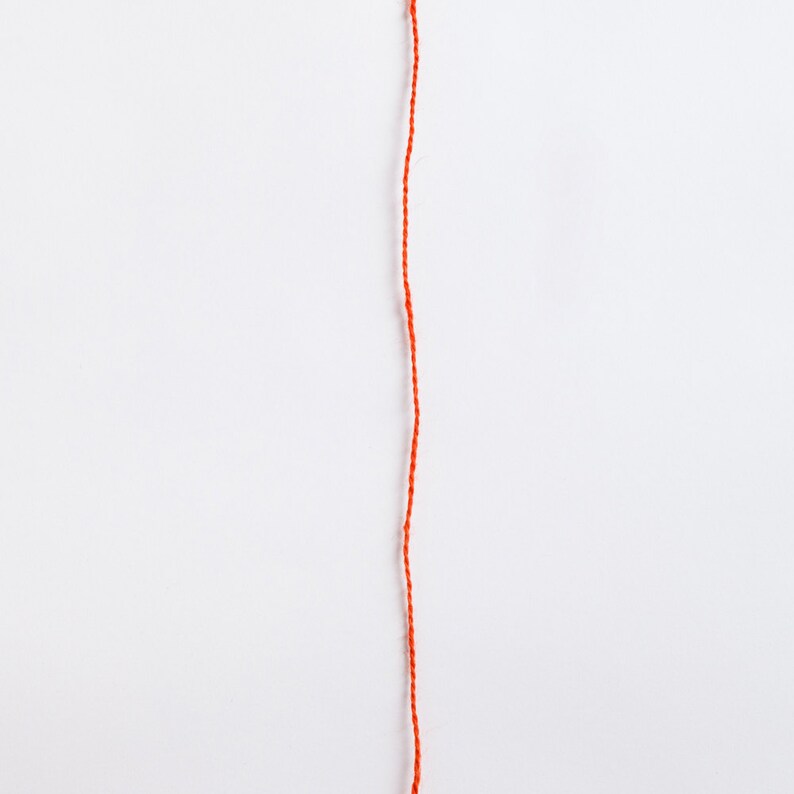 Coral Hand spun natural dyed fingering yarn wool blend in 50g squid skein