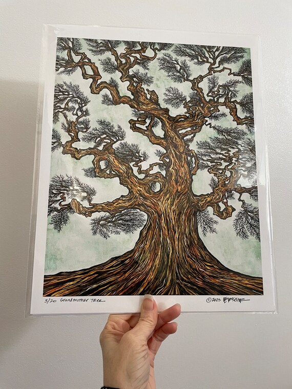 11x14” Giclee print of the Grandmother Tree Ancient Twisted Scottish Oak Tree by Tracy Levesque