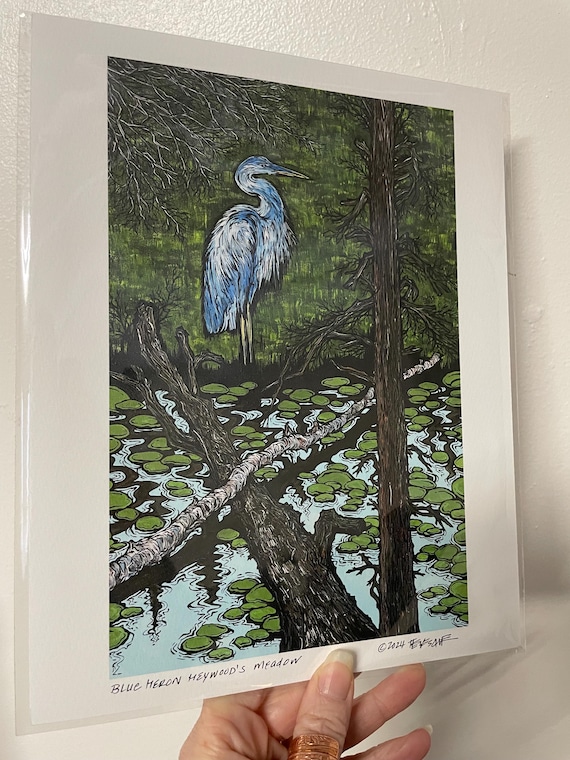 8x10” Giclee print of Great Blue Heron at Haywood’s Meadow Heron Walden Pond Print Art by Tracy Levesque