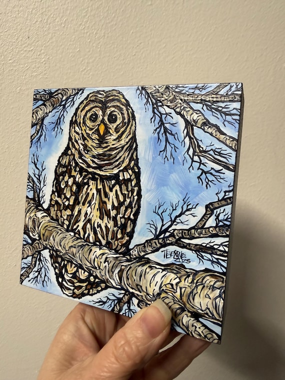 Winter Barred Owl Acrylic Painting: Bird Painting (5x5”)