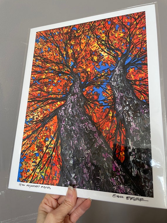 11x14” Giclee print of Magnificent Maples Fall Folaige Autumn Trees by Tracy Levesque