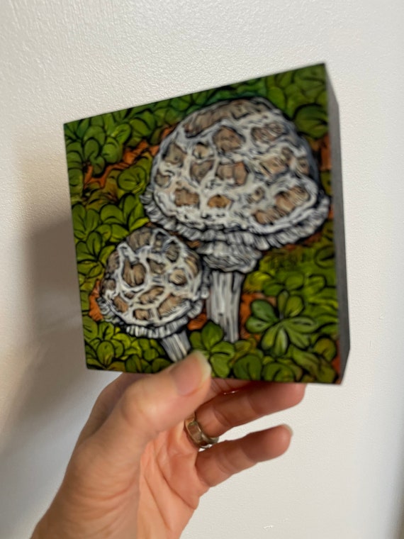 4x4” Shaggy Parasol Mushroom Painting by Tracy Levesque