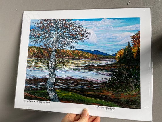 11x14” Giclee print of Lone Birch Tree on the Jordan River Acadia National Park Maine by Tracy Levesque