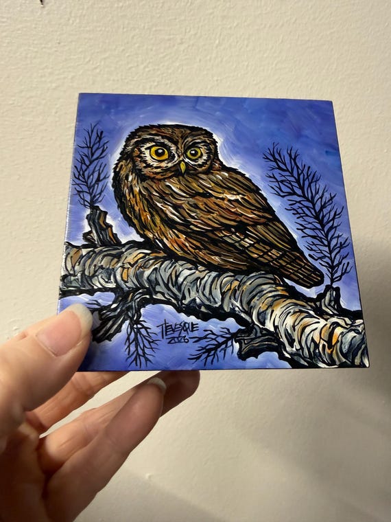 4x4” Little Screech Owl Painting by Tracy Levesque