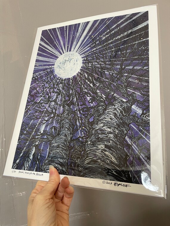 11x14” Giclee print of Moon Beams through the Beech Night Sky Trees by Tracy Levesque
