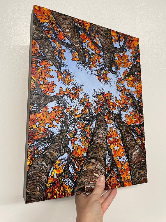 12x16” Autumn Fall Trees Looking up into the Tree Canopy Great Tree Perspective painting by Tracy Levesque