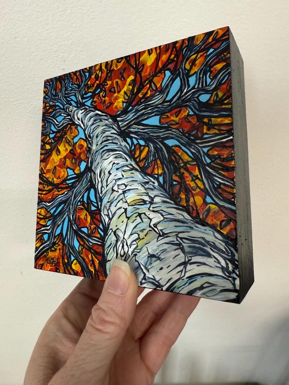 5x5” Looking Up the Autumn Birch Tree Fall Foliage Fall Birch Tree Painting original painting by Tracy Levesque