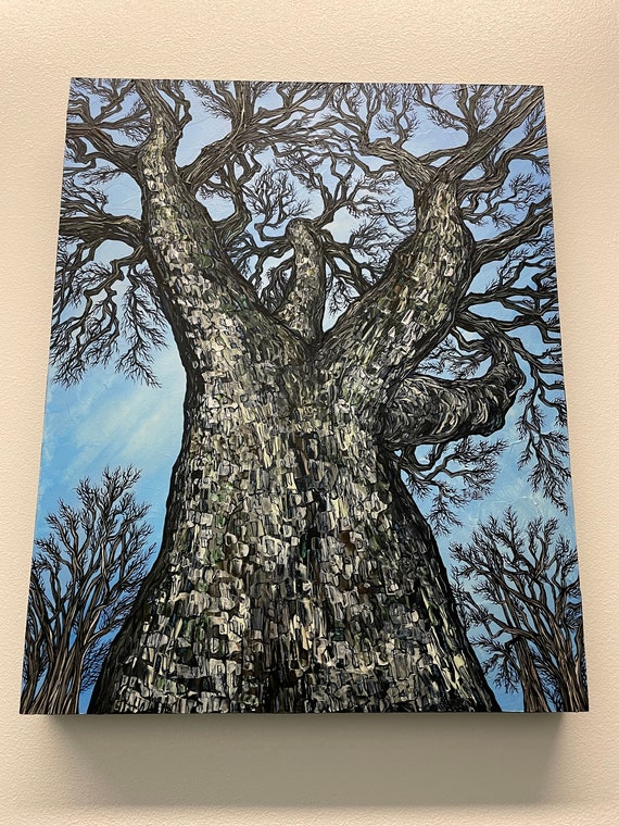 16x20” Massachusetts Famous Buttonball Tree Sunderland Massachusetts Sycamore Tree painting by Tracy Levesque