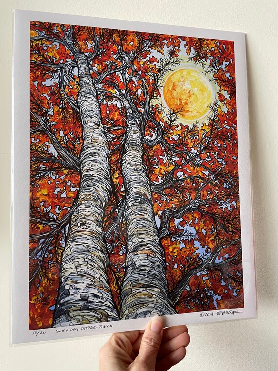 11x14” Sunny Day Fall Foliage New England Paper Birch Tree fine art giclee print featuring artwork by Tracy Levesque