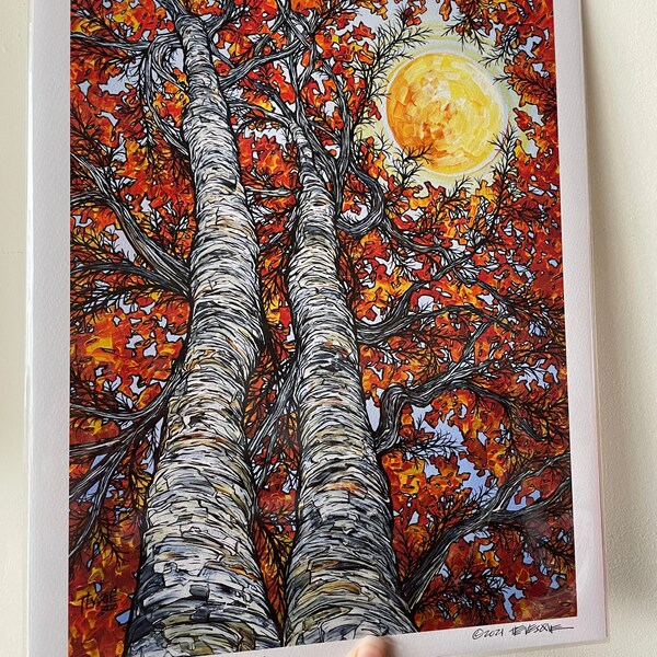 11x14” Sunny Day Fall Foliage New England Paper Birch Tree fine art giclee print featuring artwork by Tracy Levesque