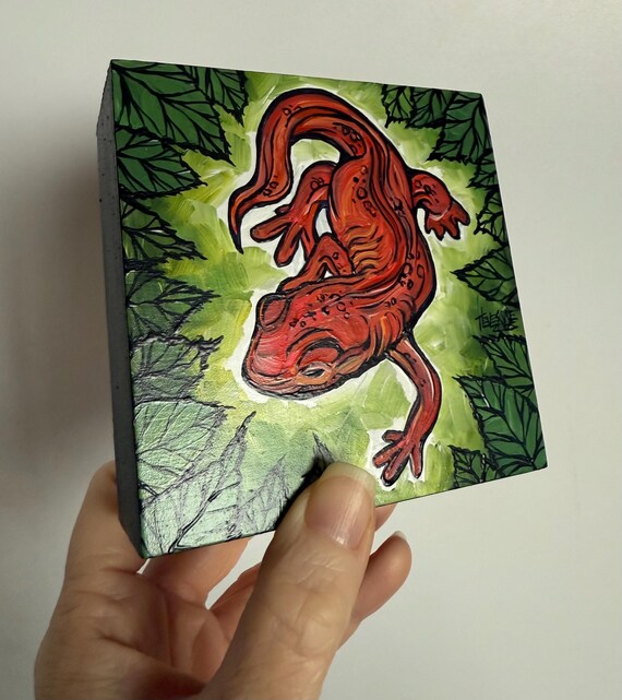 4x4” Eastern Newt Red River Eft Salamander painting by Tracy Levesque