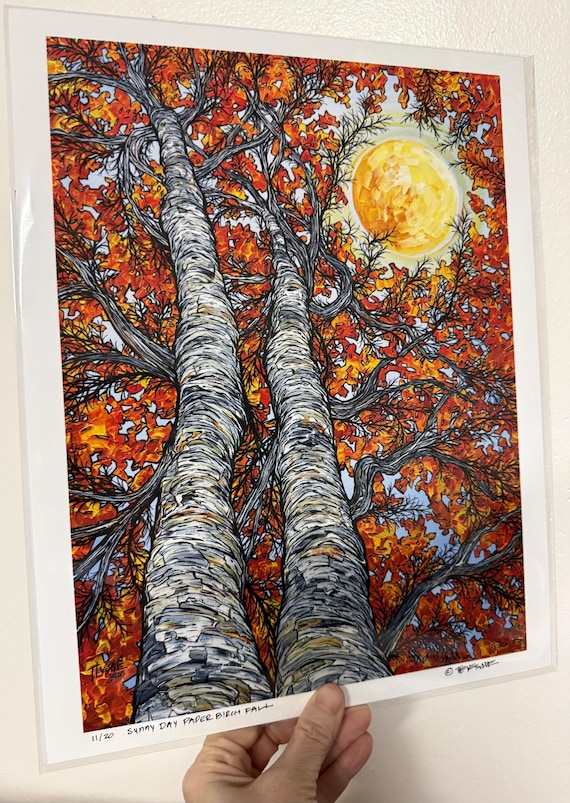 11x14” Giclee print of Sunny Day Paper Birch Autumn Fall Trees by Tracy Levesque