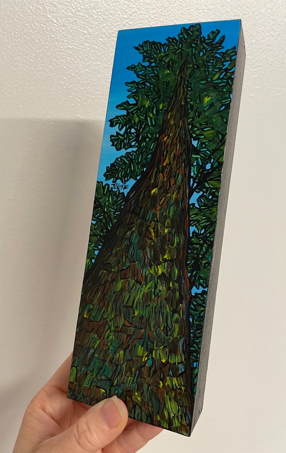 3x9" Looking Up the Douglas Fir Tree Trunk Pacific Northwest Olympic Pennisula Painting by Tracy Levesque