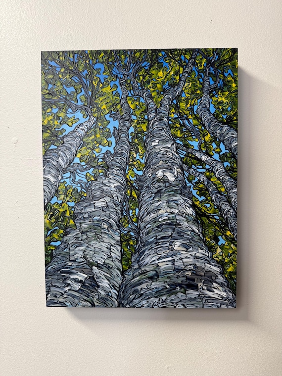 12x16” Sunmer Birch View Looking Up a Paper Birch White Birch Tree painting by Tracy Levesque