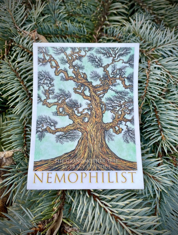 3x4” Tree Lover Grandmother Tree Oak Tree Nemophilist Nature Sticker by Tracy Levesque