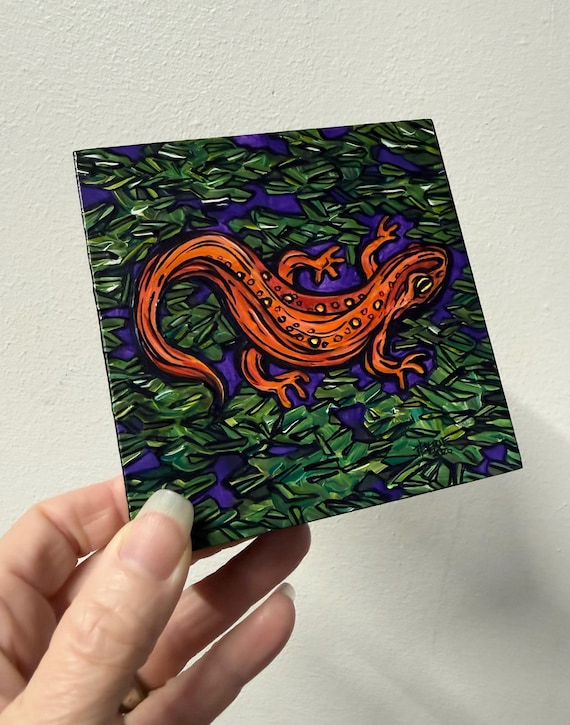 Red Eft Eastern Newt Painting by Tracy Levesque (4x4”)