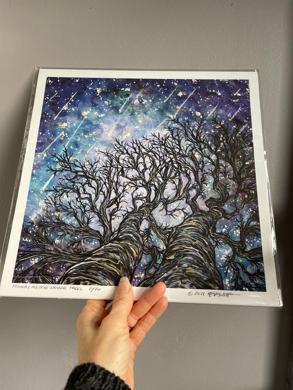 12x12” Orionids Meteor Shower Trees Shooting Stars Trees fine art giclee print featuring artwork by Tracy Levesque