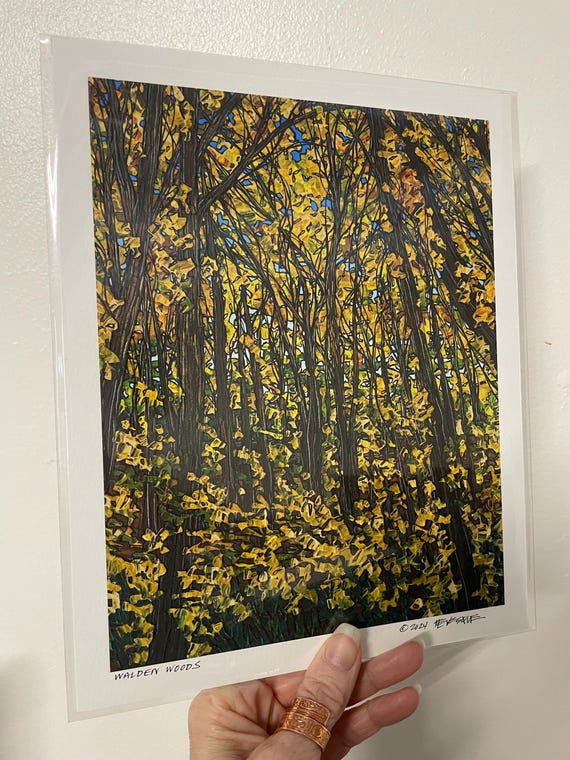 8x10” Giclee print of Walden Woods Fall Foliage Concord Massachusetts Walden Pond Print Art by Tracy Levesque