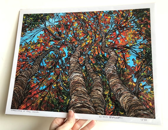 11x14” Giclee print of Cornucopia of Fall Color New England Fall Foliage Trees by Tracy Levesque