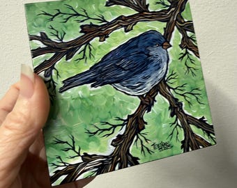 Dark-eyed Junco Bird Painting by Tracy Levesque (4x4”)