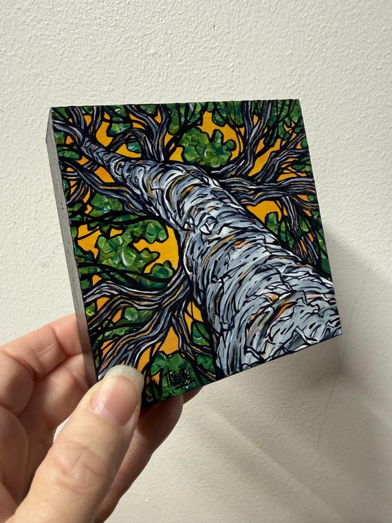 4x4 Bright Summer Birch Tree Looking Up the Tree acrylic painting by Tracy Levesque