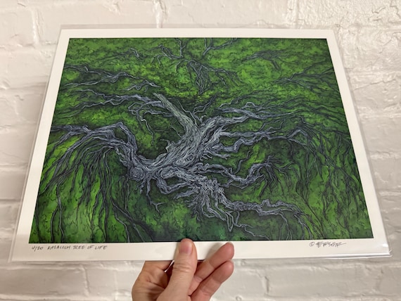 11x14” Giclee print of Kalaloch Tree of Life Olympic National Park Olympic Pennisula Washington State PNW print by Tracy Levesque