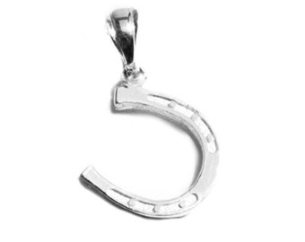 Mini Horseshoe Necklace, Horseshoe Charm Necklace, Horseshoe Pendant