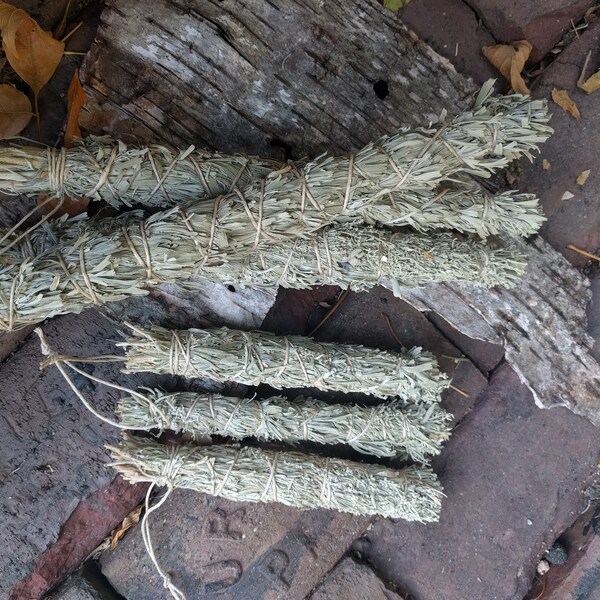 Montana Sage Bundle *ethically wildcrafted**