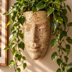 Puede incluir: Una maceta de cerámica para pared con forma de rostro humano y esmalte moteado en tonos beige y marrón. La maceta contiene una planta potos colgante con hojas en forma de corazón, variegadas en verde y amarillo, que caen por los lados.