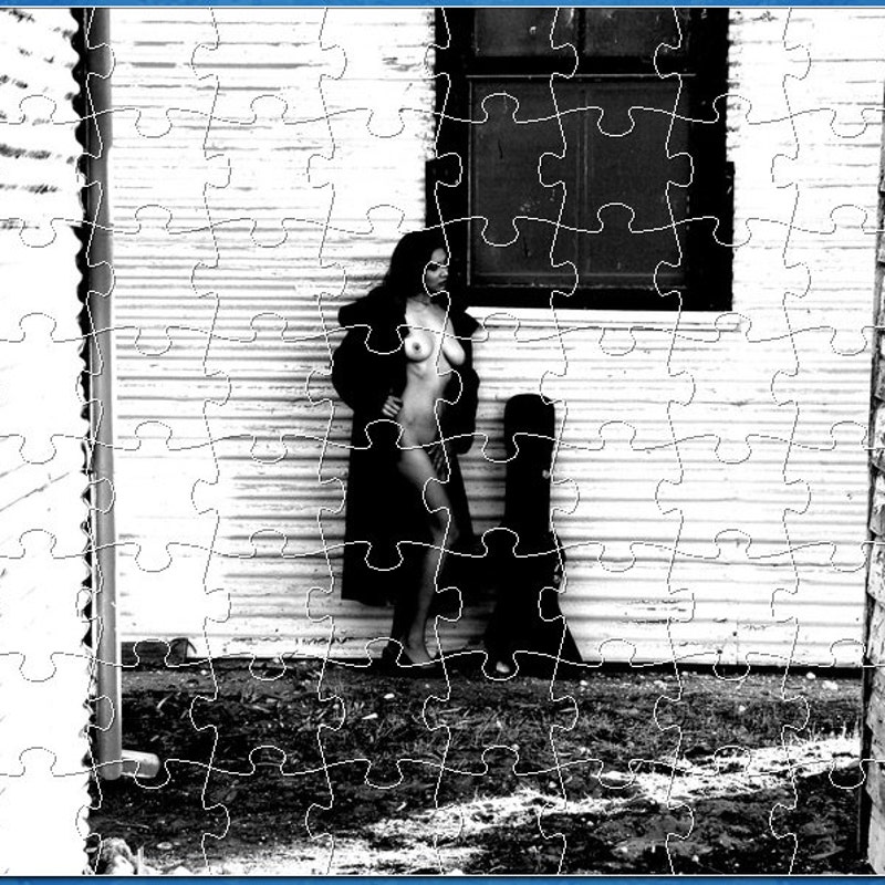 Nude Jigsaw Puzzles for Adults - Etsy