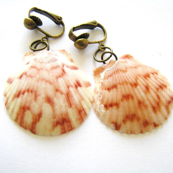 Natural Scallop Seashell Clip On Earrings