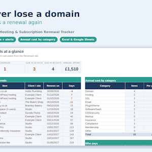 Domain & Hosting Renewal Tracker | Freelancer Business Spreadsheet (Excel)