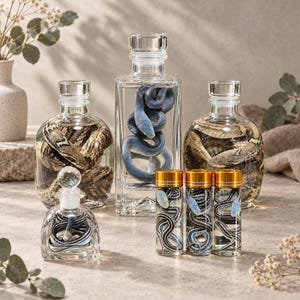 May include: A collection of clear glass bottles and jars containing preserved snakes. The set includes two round bottles with brown patterned snakes, a tall rectangular bottle with a blue snake, and three small jars with gold lids and thin snakes.