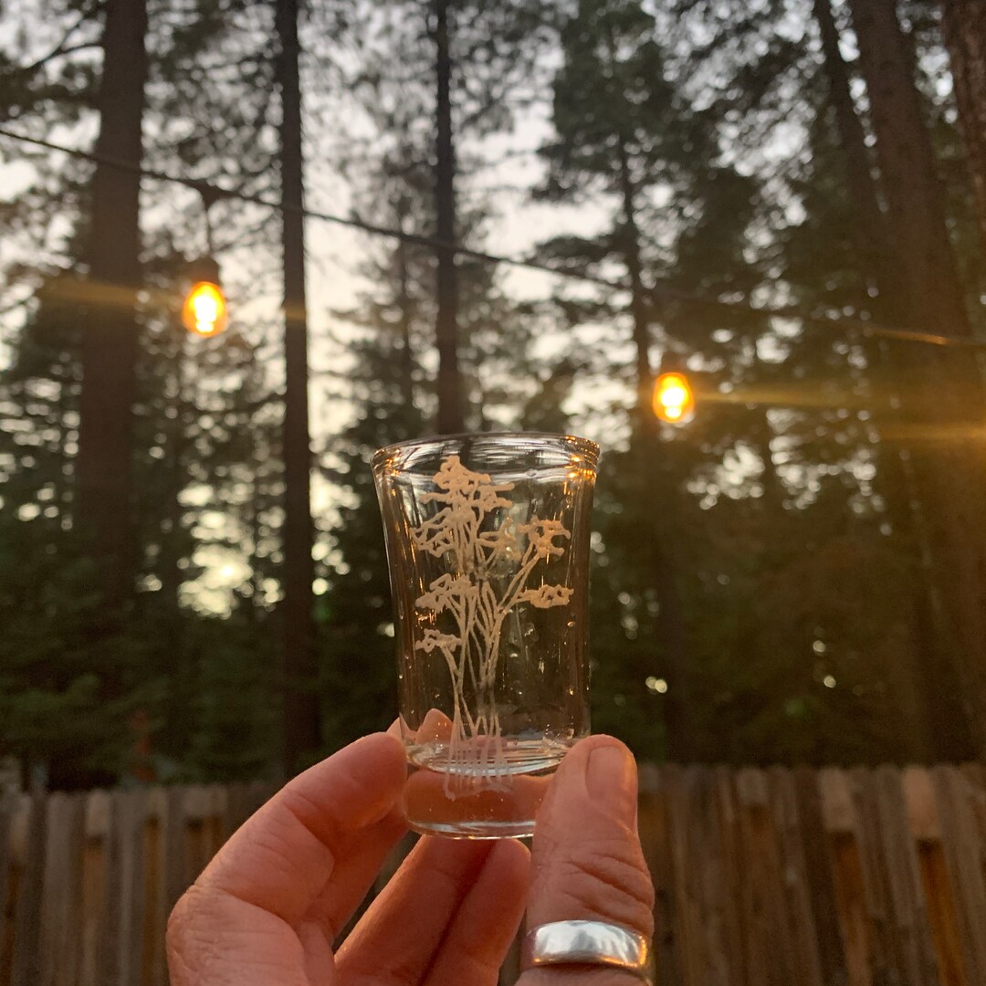 Trees Shot Glasses Set of 6 Different Trees Etsy