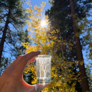 Trees Shot Glasses set of different trees image 4