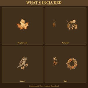 May include: A digital collection of four autumn-themed illustrations featuring a golden maple leaf, a cluster of brown acorns on oak leaves, a detailed owl perched on a branch, and a circular wreath made of colorful fall foliage.