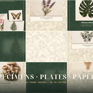 May include: A collection of journal pages featuring botanical and natural specimens including a butterfly, fern, lavender, monstera leaf, eucalyptus, and mushrooms. The set includes text labels like Lavandula angustifolia, Monstera deliciosa, Eucalyptus globulus, and Woodland Fungi, with the title Specimen Plates Papers.