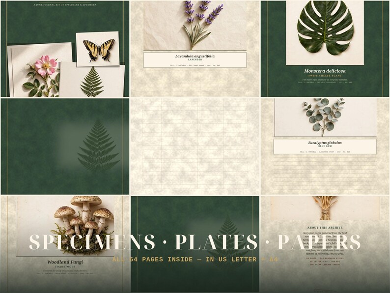 May include: A collection of journal pages featuring botanical and natural specimens including a butterfly, fern, lavender, monstera leaf, eucalyptus, and mushrooms. The set includes text labels like Lavandula angustifolia, Monstera deliciosa, Eucalyptus globulus, and Woodland Fungi, with the title Specimen Plates Papers.