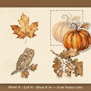 May include: A digital collage sheet featuring a brown maple leaf, a detailed owl perched on a branch, a cluster of oak leaves with acorns, and a vibrant orange pumpkin. The text at the bottom reads: Print it &middot; Cut it &middot; Glue it in &mdash; true fussy cuts.