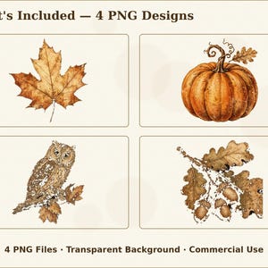 May include: A set of four digital illustrations labeled What's Included &mdash; 4 PNG Designs. The images feature a brown maple leaf, an orange pumpkin with a stem, a brown owl perched on a branch, and a cluster of oak leaves with acorns.
