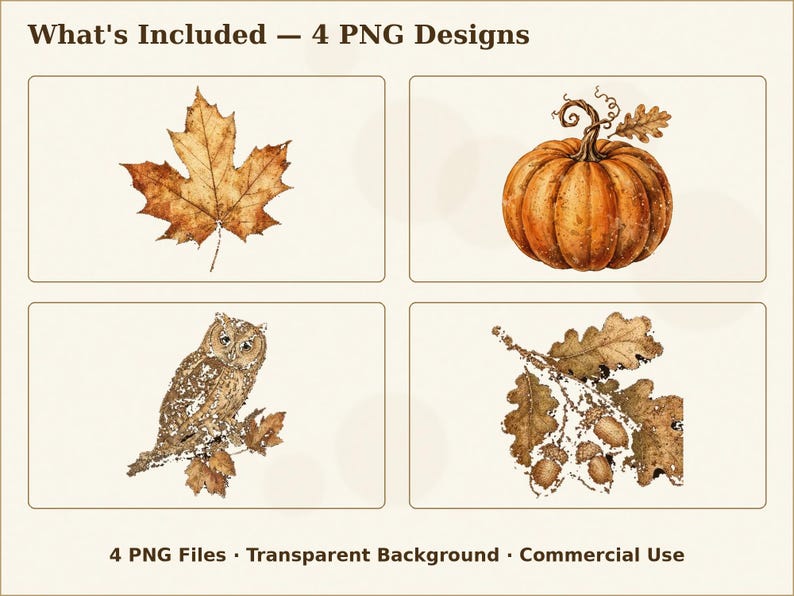 May include: A set of four digital illustrations labeled What's Included &mdash; 4 PNG Designs. The images feature a brown maple leaf, an orange pumpkin with a stem, a brown owl perched on a branch, and a cluster of oak leaves with acorns.