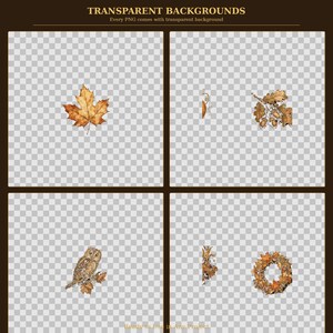 May include: A digital collection of autumn-themed graphics featuring a maple leaf, a branch with oak leaves and acorns, a perched owl, and a circular wreath of fall foliage, all displayed against a transparent checkerboard background.